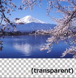 Converted VTF file